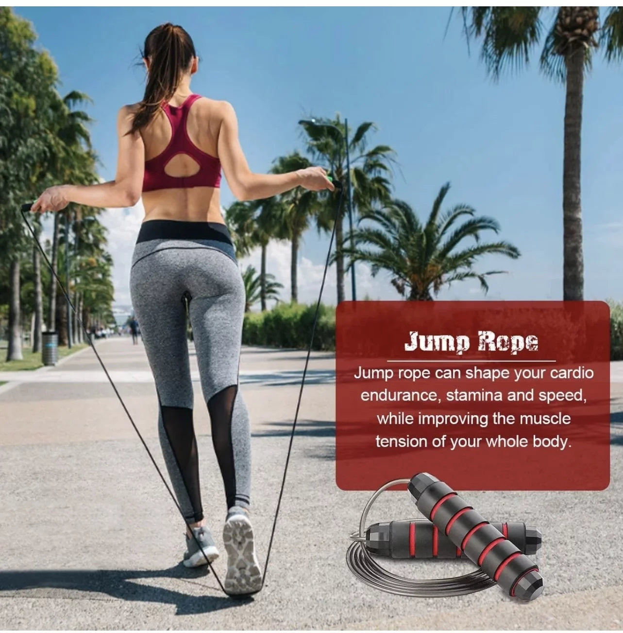 17-in-1 Ab Roller Wheel Kit with Resistance Bands, Push-Up Bars, Jump Rope and Knee Mat, Ab Wheel Exercise Equipment for Core Strength Training and Home Gym Workouts,